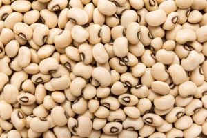 Cowpea Seeds