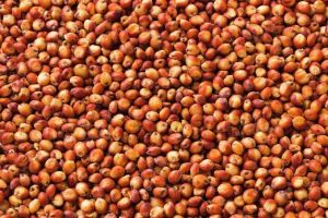 Red Sorghum Seeds