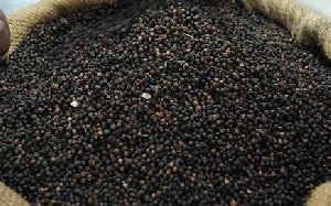 Black Pepper Seeds