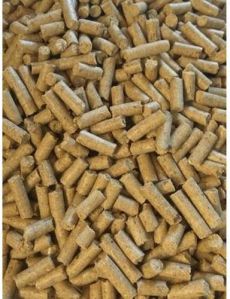 Moringa Cattle Feed