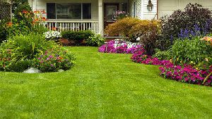 landscape maintenance services