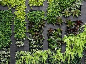 Outdoor Vertical Garden Wall