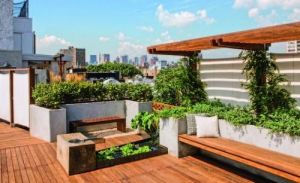 Roof Garden Plants