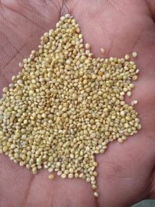 Brown Top Millet (Andu Korle)