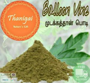 mudakutthan/ballon vine powder