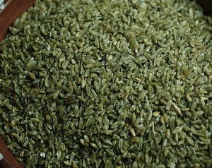 freekeh