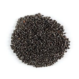 Basil Seeds