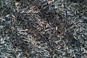 Niger Seeds