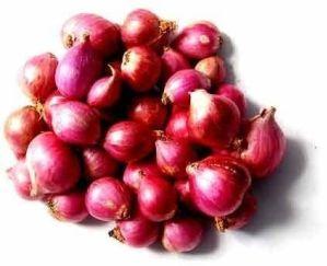 Fresh Small Red Onion