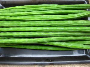 Fresh Green Drumsticks