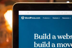 WordPress Development Services