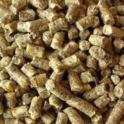 Fresh Cattle Feed Pellets