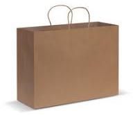 Plain Paper Carry Bag