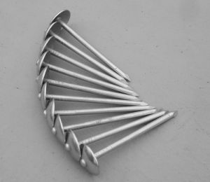 Mild Steel Roofing Nail