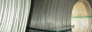 Wire Rod