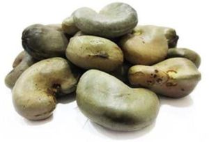 Shelled Cashew Nuts