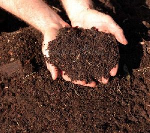 organic compost fertilizer
