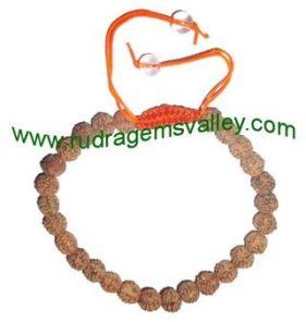 Rudraksha four face