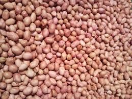 Natural Groundnut Seeds