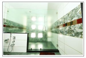 Glass Shower Partition