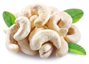 cashew