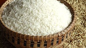 india rice