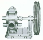 Spur Gear