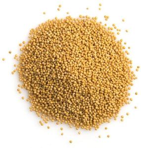 Mustard Seeds