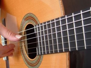 Classical Guitar Gut Strings
