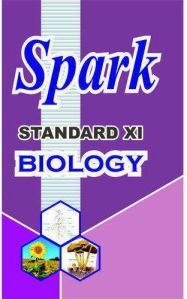 Class 11th Spark Final Revision Books