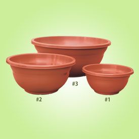 LILYPON BOWLS