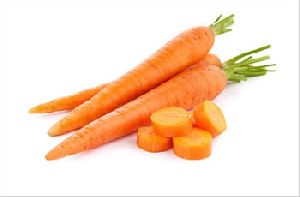 organic carrot