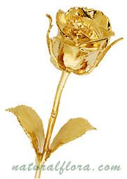 24kt Gold Plated Natural Rose