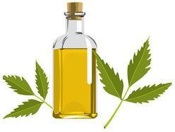 Neem Essential Oil