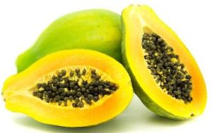 Raw Papaya Plant