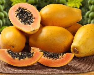 Ripened Papaya Plant