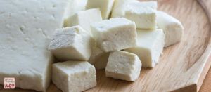 fresh Cow Milk Paneer