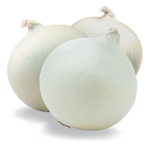 Natural White Onion