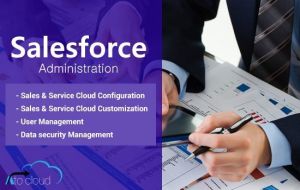 Salesforce Administration Services