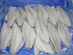 Frozen Barramundi Fish Fillet
