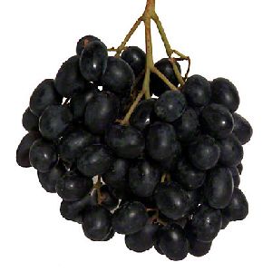 Organic Black Grapes