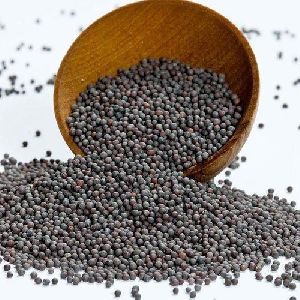 Small Mustard Seeds