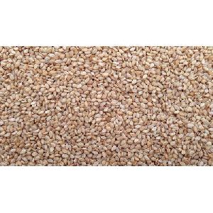 Whole Sesame Seeds