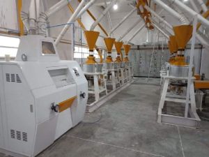 Flour Milling Machine