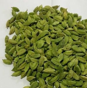 Fresh Green Cardamom