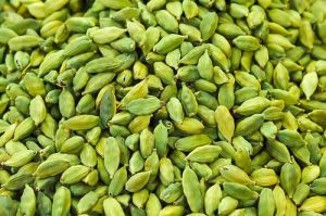 High Quality Green Cardamom