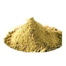 Premium Coriander Powder