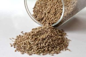 Premium Cumin Seeds