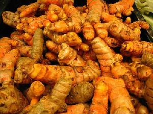 Raw Turmeric Finger