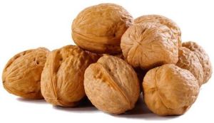 Shelled Walnut